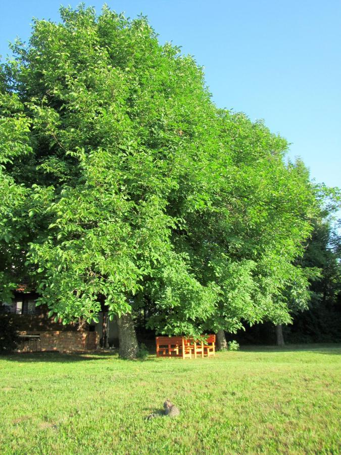 Pod Orehi Bed & Breakfast Postojna Eksteriør bilde